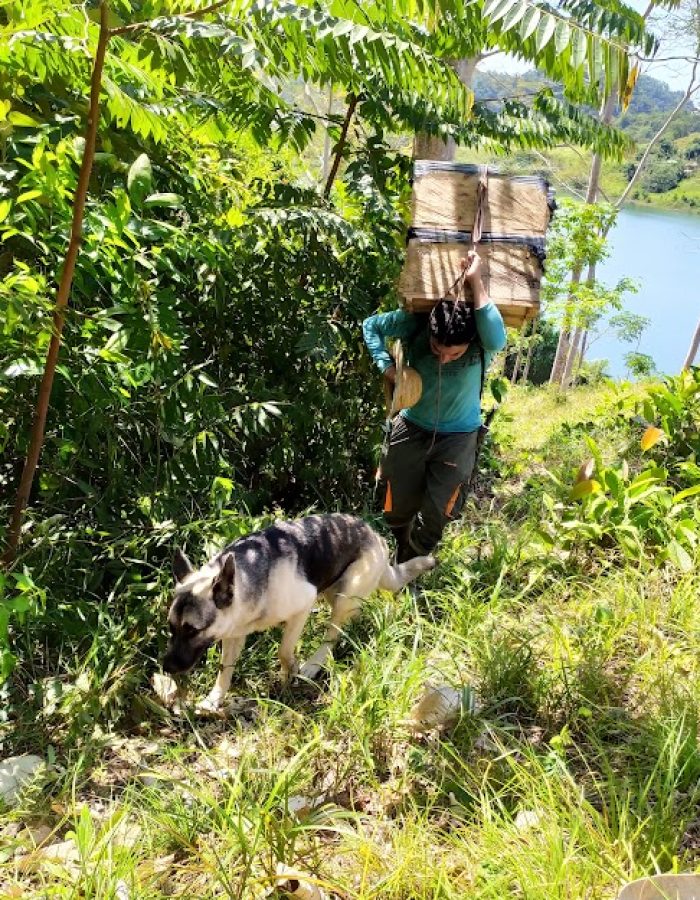 entrega de núcleos de abejas por parte del equipo tecnico